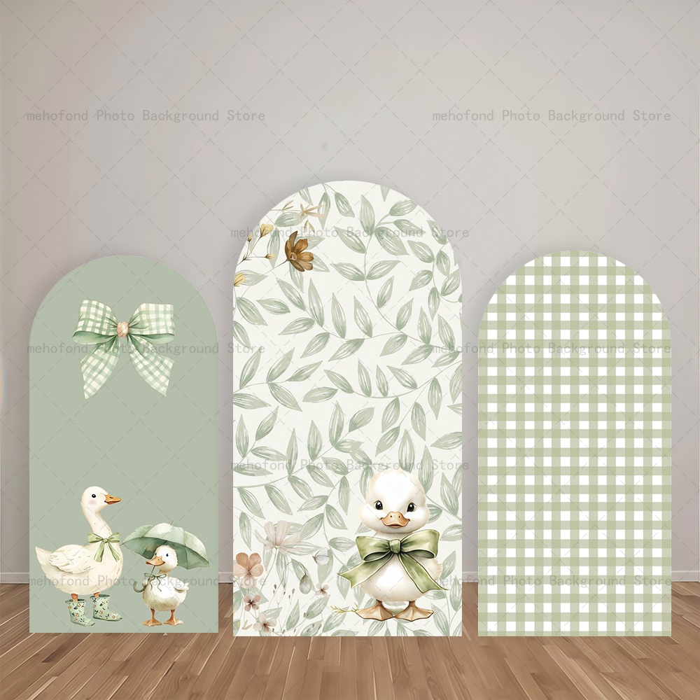 Photography Duck - Mehofond Arch Backdrop Fresh Light Green
