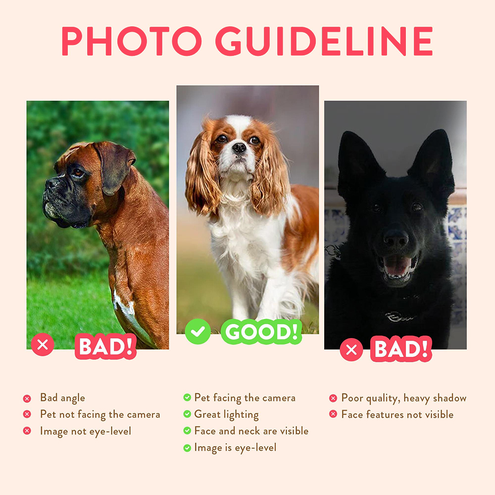 Personalized Pet Portraits Pho - đánh giá và giá Photography Poster