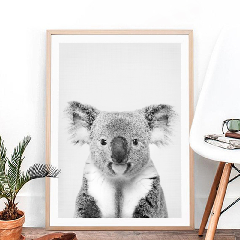 Bộ Chăn Ra Gối Koala In Hình T - đánh giá và giá Photography Zoo
